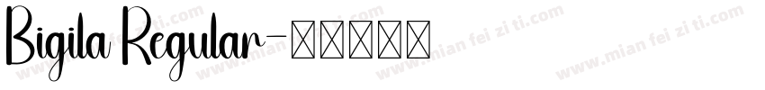 Bigila Regular字体转换